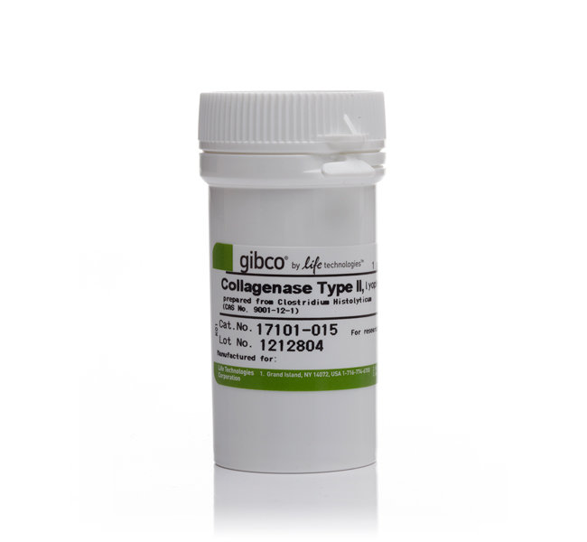Gibco  II型胶原酶