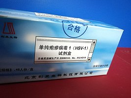 单纯疱疹病毒1型（HSV-1）抗体检测试剂盒