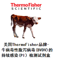 美国ThermoFisher-牛病毒性腹泻病毒(BVDV)的持续感染(PI）检测试剂盒