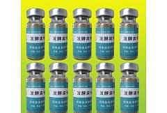 北纳创联放线多孢菌属菌种