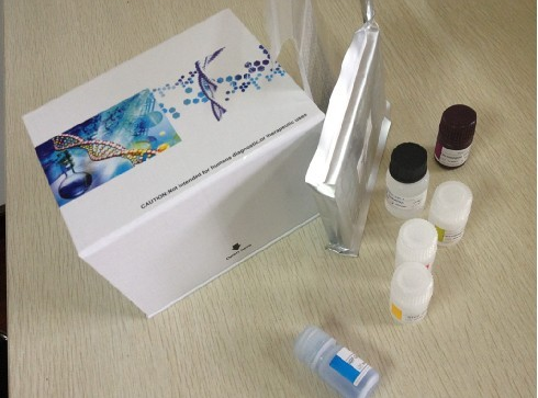 正常T细胞表达和分泌因子(RANTES/CCL5)ELISA定量分析试剂盒