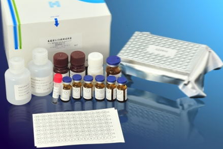 人MXD1酶联免疫检测试剂盒