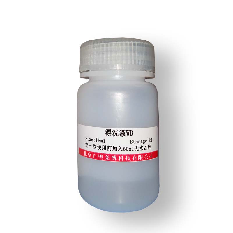 北京SREBP-GFP报告基因质粒说明书