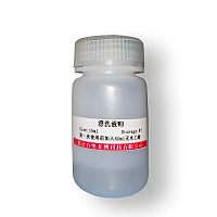 北京SREBP-GFP报告基因质粒说明书