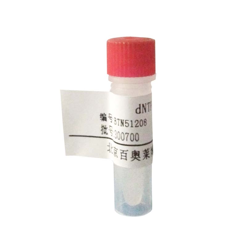 DEAE弱阴离子纯化预装柱,1ML多少钱产品图