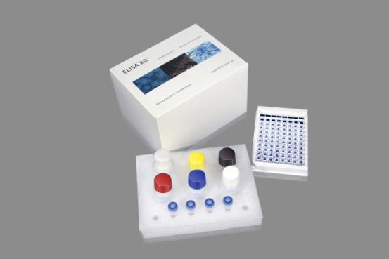 值得信赖的ELISA试剂盒-博灿生物科技
