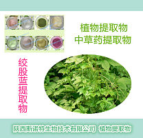 绞股蓝提取物 绞股蓝皂甙