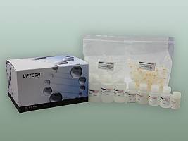 人AQP-1酶联免疫检测试剂盒