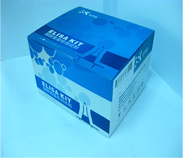 再生胰岛衍生蛋白1β(REG1β)ELISA定量分析试剂盒产品图
