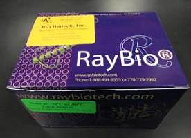 人COL2Α1酶联免疫检测试剂盒