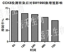 CCK8细胞增殖及活性检测