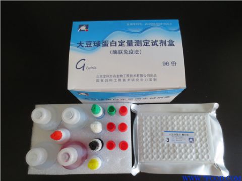 细胞周期素O(CCNO)ELISA定量分析试剂盒