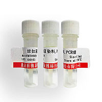 彩虹预染蛋白Marker(10-250KD) 蛋白质研究