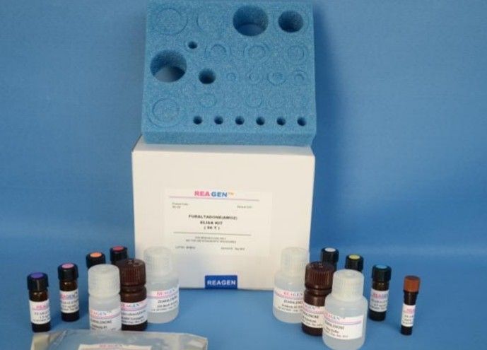 人TEP1酶联免疫检测试剂盒