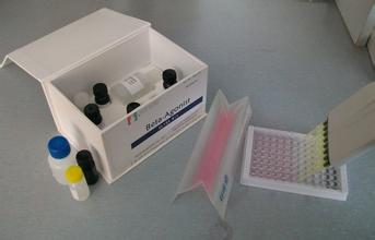 人MPF酶联免疫检测试剂盒