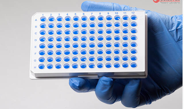 人丙型肝炎定量PCR芯片试剂盒