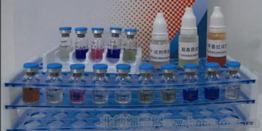 北纳创联中间型耶尔森菌