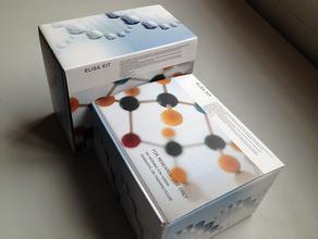 人FSHR酶联免疫检测试剂盒