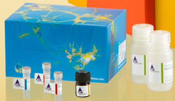 T Cell Activation/Expansion Kit, human