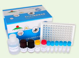 人PARC/CCL18酶联免疫检测试剂盒