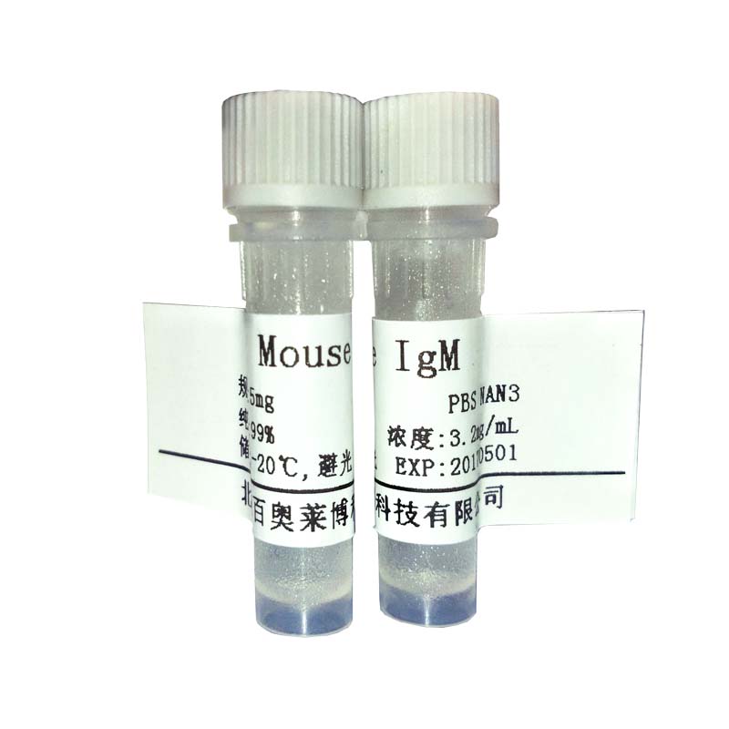 小鼠抗猪IgG抗体(胶体金标记) 胶体金标记抗体
