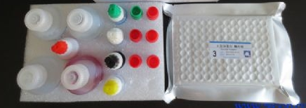 人PTHRP酶联免疫检测试剂盒