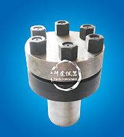 天津市研途实验仪器开发有限公司----高温高压简易水热釜