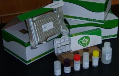 人CCND3酶联免疫检测试剂盒
