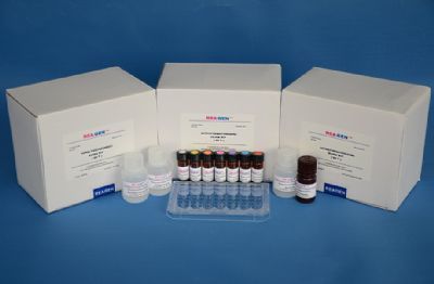 人CA242酶联免疫检测试剂盒