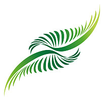 cGMP级别慢病毒包装及纯化