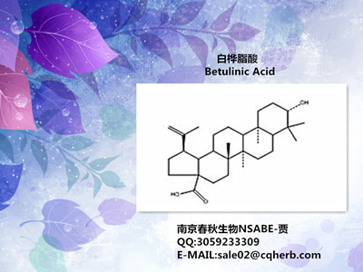 白桦脂酸/Betulinic acid/472-15-1/白桦酯酸