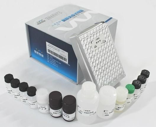 人ICAM-1酶联免疫检测试剂盒