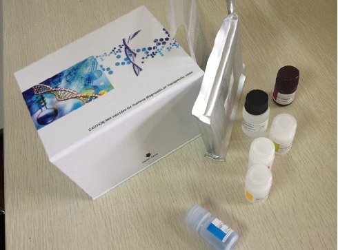 斑联蛋白(ZYX)ELISA定量分析试剂盒产品图