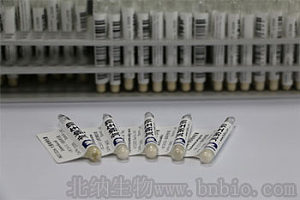 北纳创联禽流感病毒