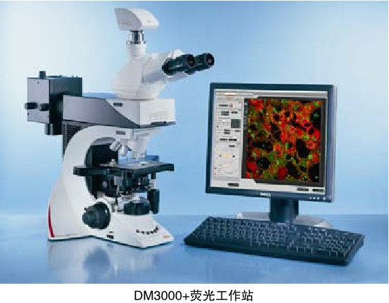 徕卡显微镜徕卡Leica DM3000 & DM3000 LED生物显微镜