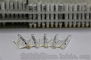 北纳创联胸膜肺炎放线杆菌