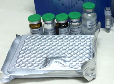大鼠LH酶联免疫检测试剂盒