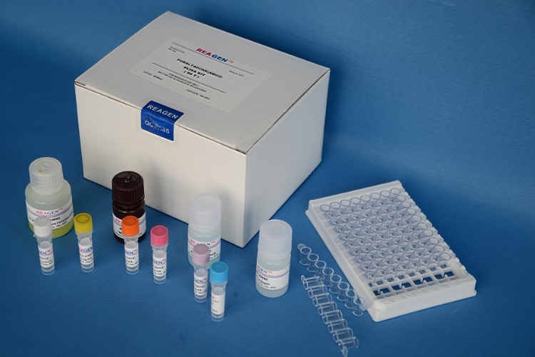 人可溶性髓系细胞触发受体1(sTREM-1)ELISA定量分析试剂盒厂家直销