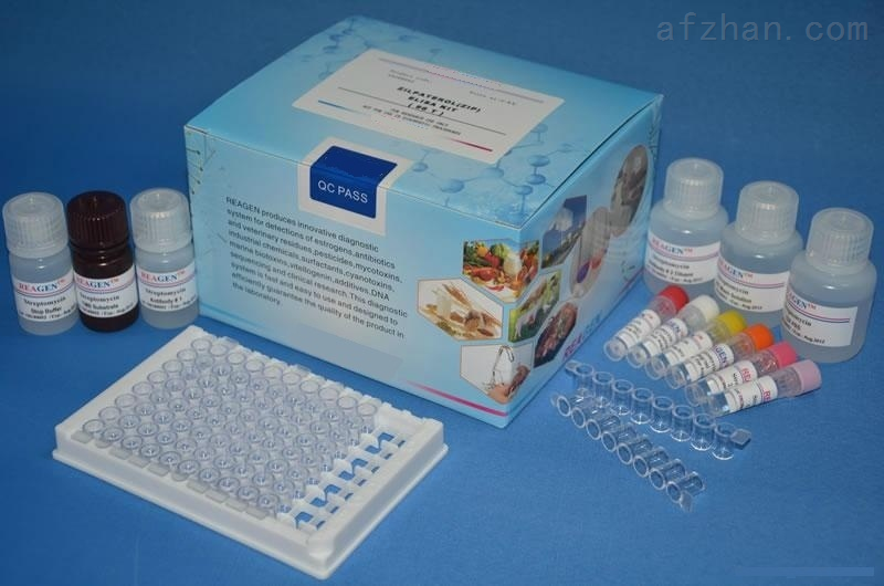 大鼠SYP酶联免疫检测试剂盒