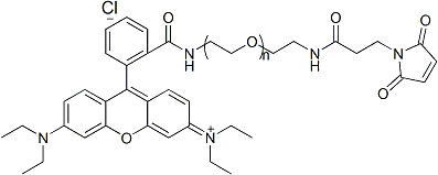 RB-PEG-MAL 罗丹明聚乙二醇马来酰亚胺