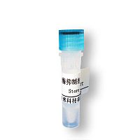 北京现货TAG149型Taq Plus DNA Polymerase打折促销