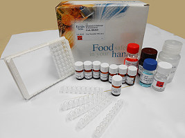 人抑制素β-B(Inhbb)ELISA定量分析试剂盒厂家直销