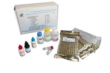 人抗淋巴细胞毒抗体(LCA)ELISA定量分析试剂盒厂家直销