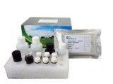 囊虫病检测试剂盒（酶联免疫法）