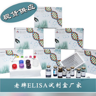 大鼠白细胞介素13(IL-13)ELISA检测试剂盒