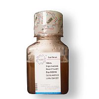 北京羊抗牛IgG免疫血清多少钱