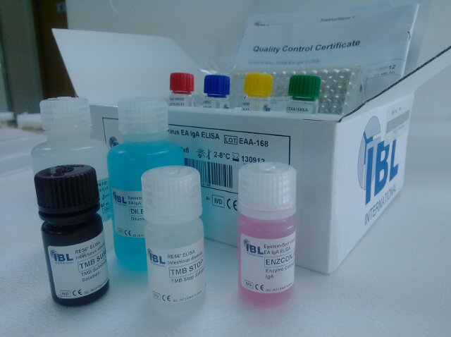 EB(VCA)检测试剂盒（酶联免疫法）