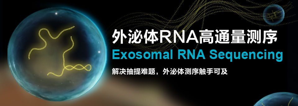 Exosomal RNA高通量测序