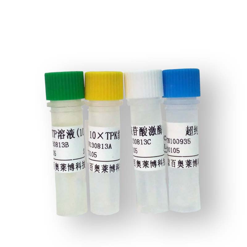 C端EGFP标签融合蛋白质粒(绿色荧光蛋白) 克隆与表达