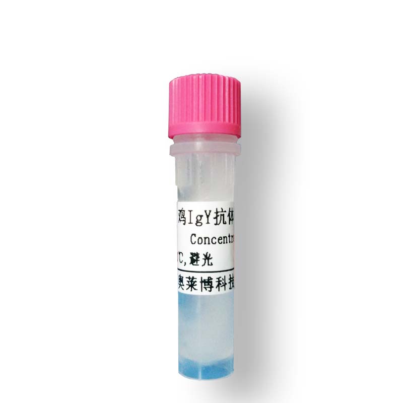 YT837型PDI抗体(国产,进口)